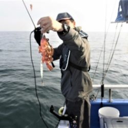 鯛紅丸 釣果
