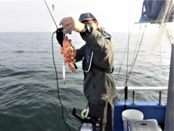 鯛紅丸 釣果