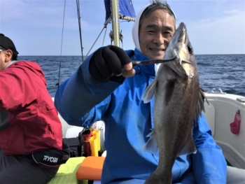 鯛紅丸 釣果