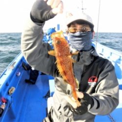 鯛紅丸 釣果