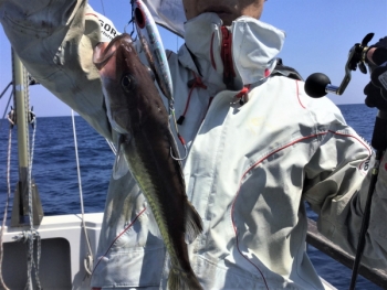 鯛紅丸 釣果