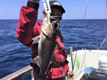 鯛紅丸 釣果