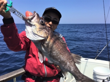 鯛紅丸 釣果