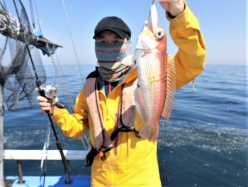 鯛紅丸 釣果