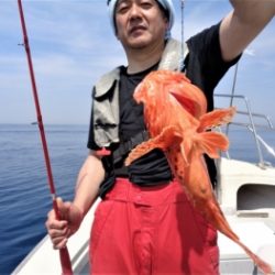 鯛紅丸 釣果