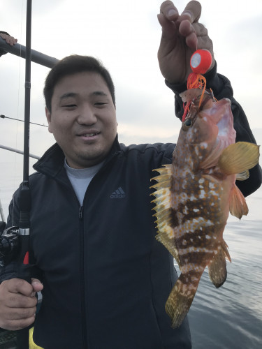 釣船 浦島太郎 釣果