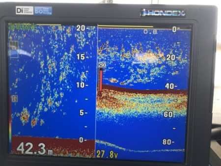 釣船 浦島太郎 釣果