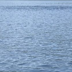 釣船 浦島太郎 釣果