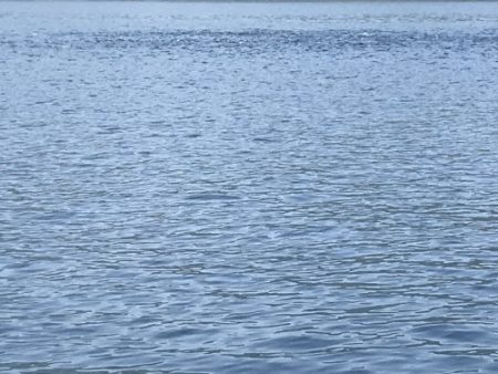 釣船 浦島太郎 釣果