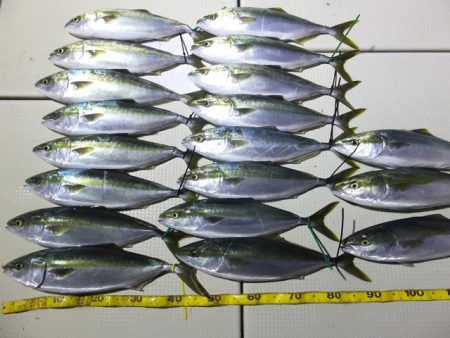 Hit Rush(ヒット ラッシュ） 釣果…