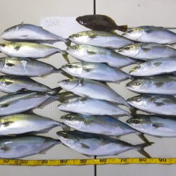 Hit Rush(ヒット ラッシュ） 釣果