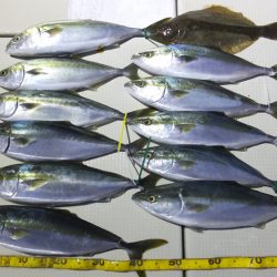 Hit Rush(ヒット ラッシュ) 釣果