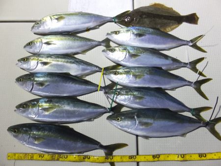 Hit Rush(ヒット ラッシュ） 釣果…