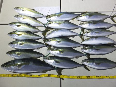 Hit Rush(ヒット ラッシュ） 釣果…