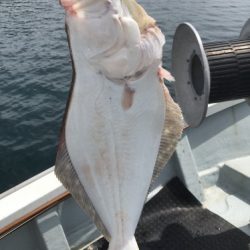釣船 浦島太郎 釣果
