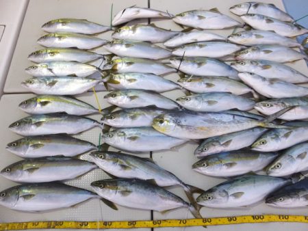 Hit Rush(ヒット ラッシュ） 釣果…