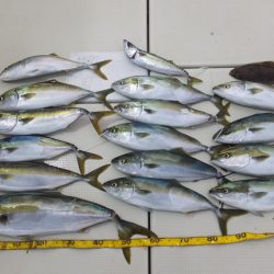 Hit Rush(ヒット ラッシュ) 釣果