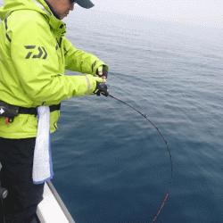 遊漁船ブルーウッズ 釣果