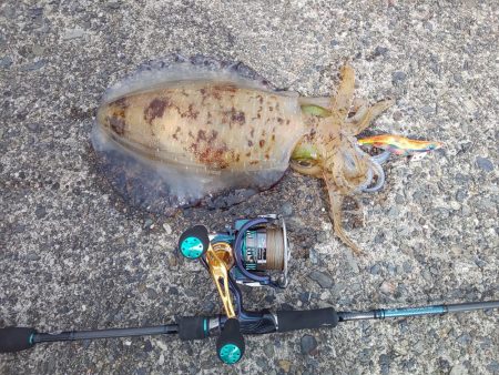 リベンジ達成！