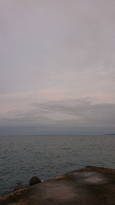 エソは裏切りません。