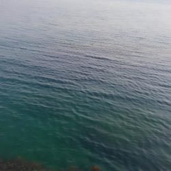 2投目でヒット~⤴