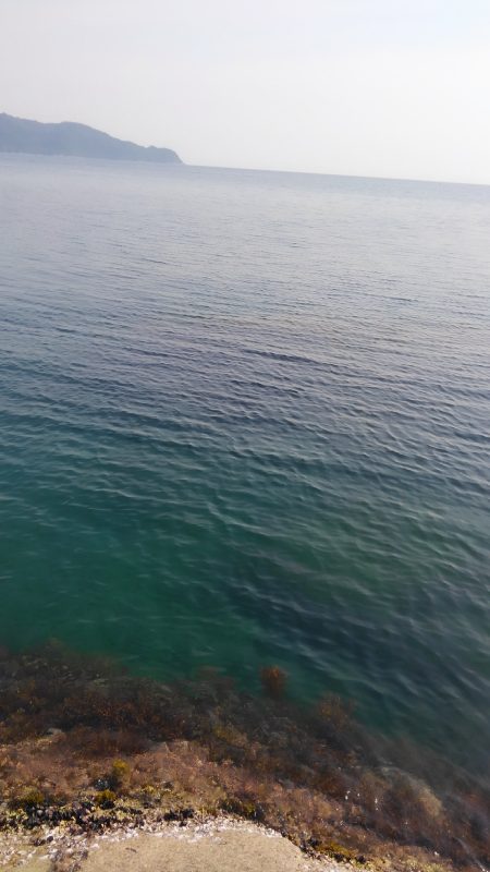 2投目でヒット~⤴