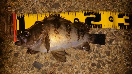 短時間メバリング