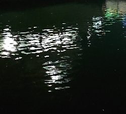 ウナギ釣り(ついでにスズキリベンジ)