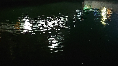 ウナギ釣り(ついでにスズキリベンジ)