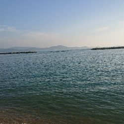 久しぶりにキス釣り