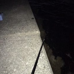 ライトワインド