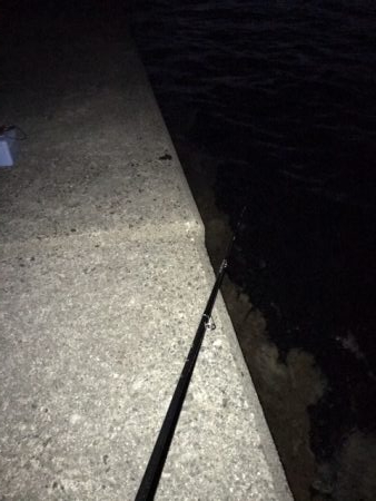 ライトワインド