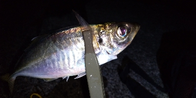 リベンジ成功(^^)/