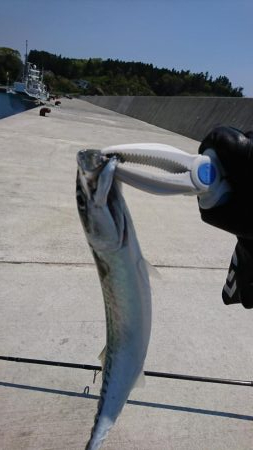 ライトショアジギング