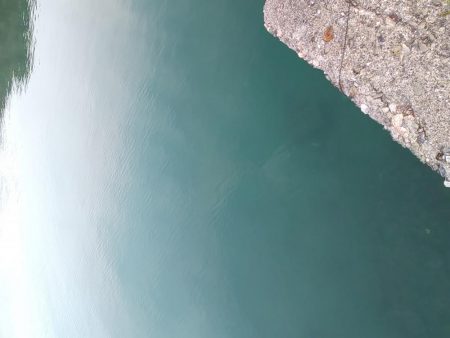 リベンジ達成！