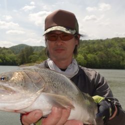 フィッシングレイクたかみや 釣果