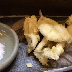 星隆丸 釣果