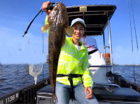 オーシャンマスター 釣果