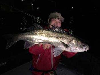 シーマジカル 釣果