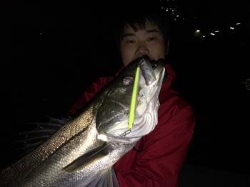 シーマジカル 釣果