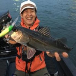 シーマジカル 釣果