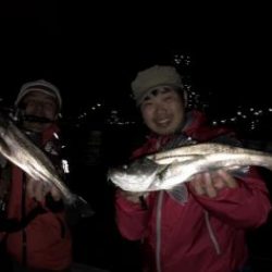 シーマジカル 釣果