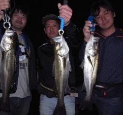 シーマジカル 釣果