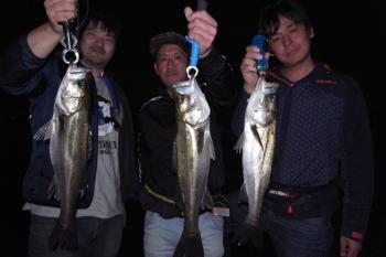 シーマジカル 釣果