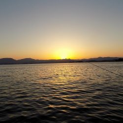 フィッシングボート空風(そらかぜ) 釣果