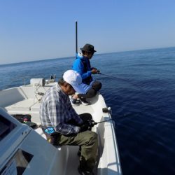 フィッシングボート空風(そらかぜ) 釣果