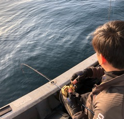 幸吉丸 釣果