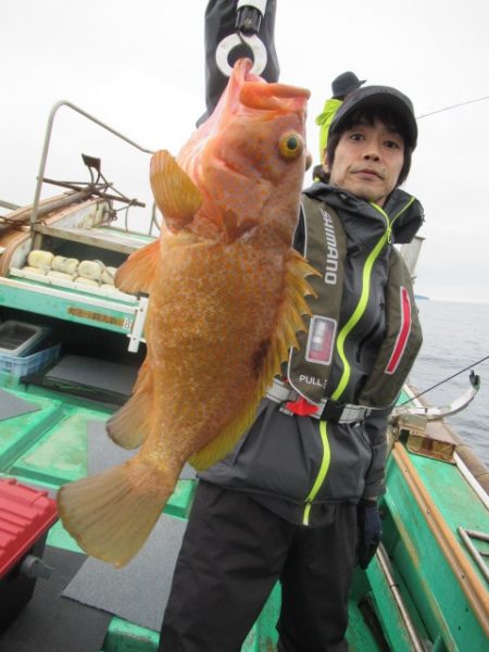 真祐丸 (しんゆうまる) 釣果