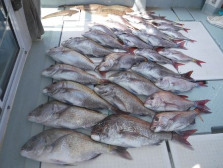 遊漁船 幸友丸 釣果