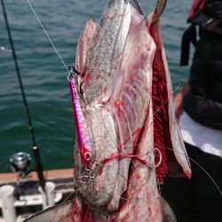 FISHING RISKY 釣果